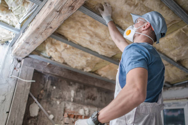Best Insulation Installation Services in Muhlenberg Rk, PA