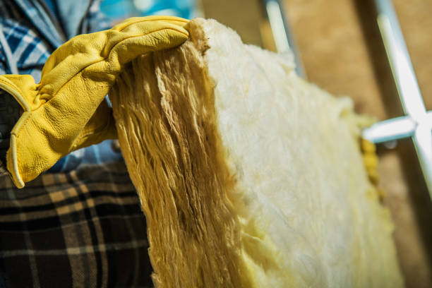 Best Insulation Installation Services in Muhlenberg Rk, PA